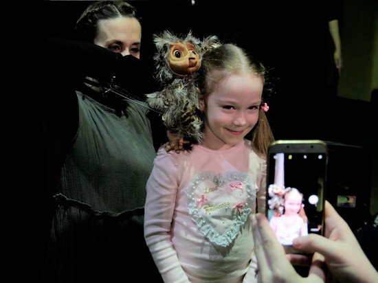 Сказку «Филин и Солнышко» показали в Хабаровском театре кукол