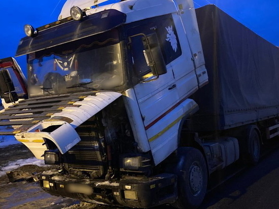 В Смоленской области на трассе М-1 водители помогли потушить горящую фуру