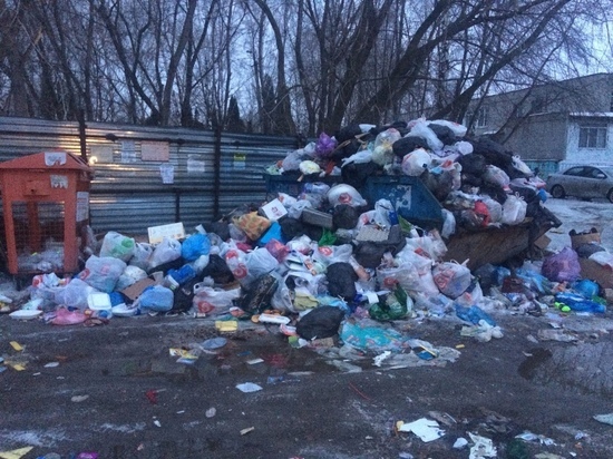 Рязанец пожаловался на переполненные мусорные баки