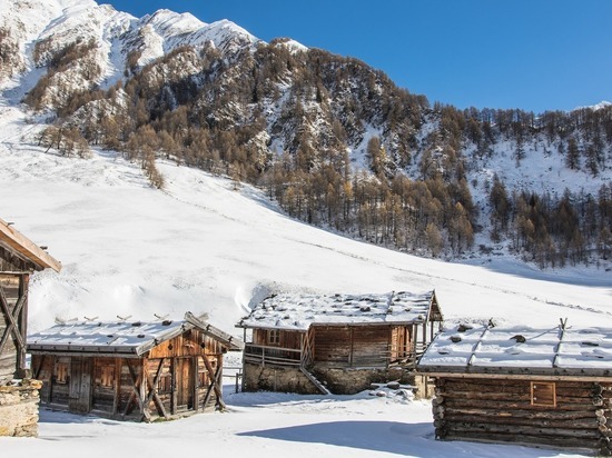 Залесовский район фото