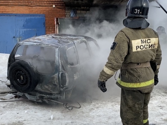 Житель Троицка лишился автомобиля из-за пожара в гаражном кооперативе