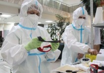 За минувшие сутки в России зарегистрировано 8998 новых случаев заражения COVID-19 в 85 регионах