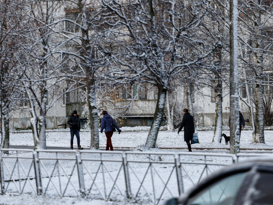 Названы районы Псковской области, больше всех пострадавшие в этом году из-за непогоды