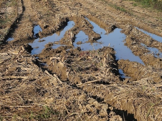 В Стаханове скорая помощь застряла в канаве