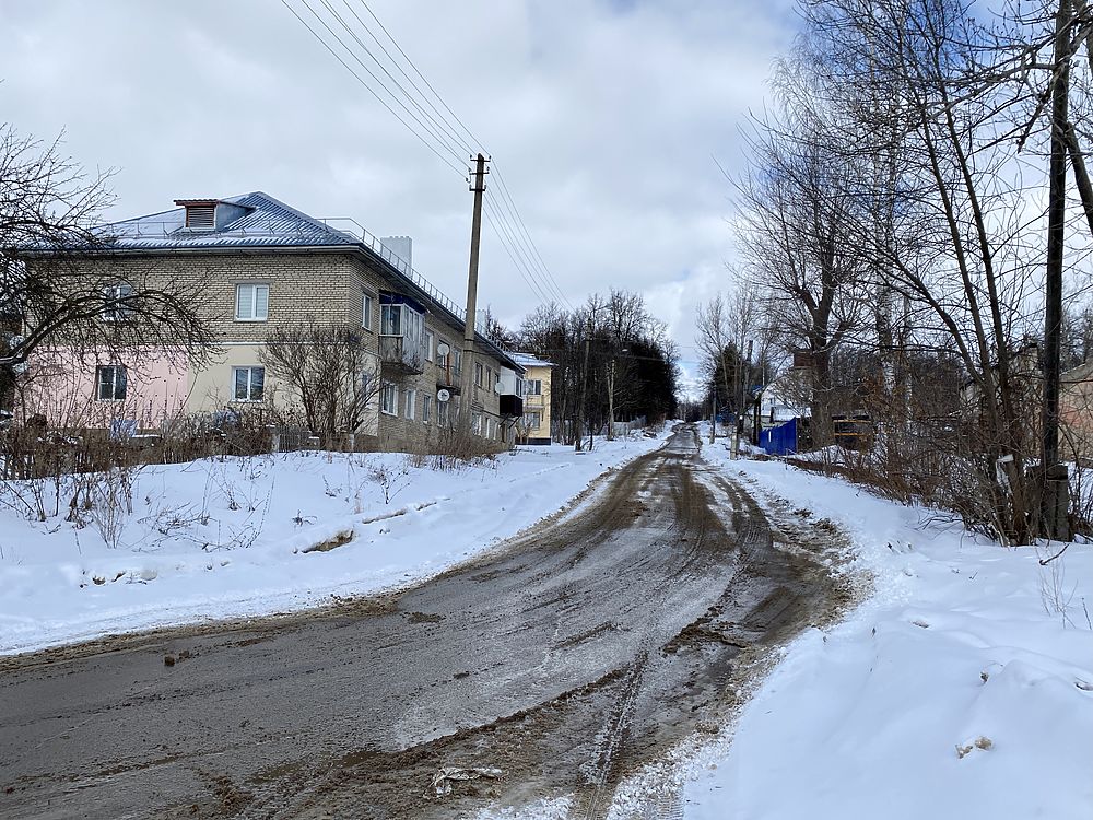 Барсуки тульская область фото