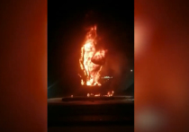 В городе Заинск республики Татарстан полиция обнаружила поджигателей, вечером 16 марта подчистую уничтоживших памятник воину-освободителю