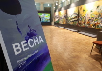 Выставка экс-чиновницы Минобороны Евгении Васильевой в Музее Академии художеств наделала шума