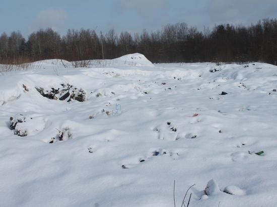 На окраине Архангельска «ЭкоИнтегратор» не справился с вывозом отходов