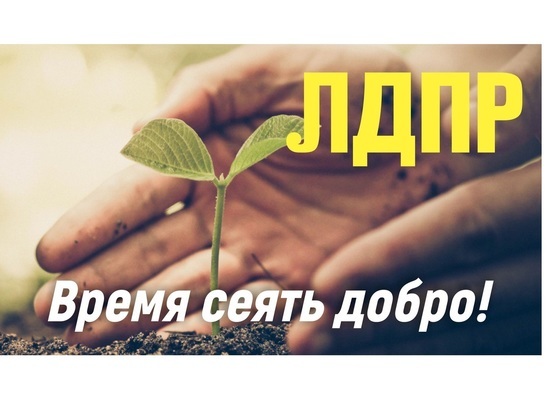 «Забота о людях в реальных делах»: ЛДПР обеспечивает жителей Алтайского края семенами овощей