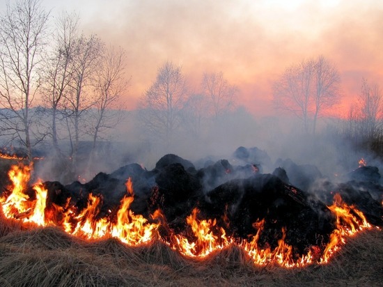 Районным властям передали полномочия по тушению степей в Забайкалье