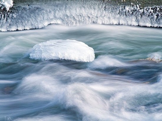 В Госкомитете Татарстана по биоресурсам говорят о заморе рыбы в водоемах