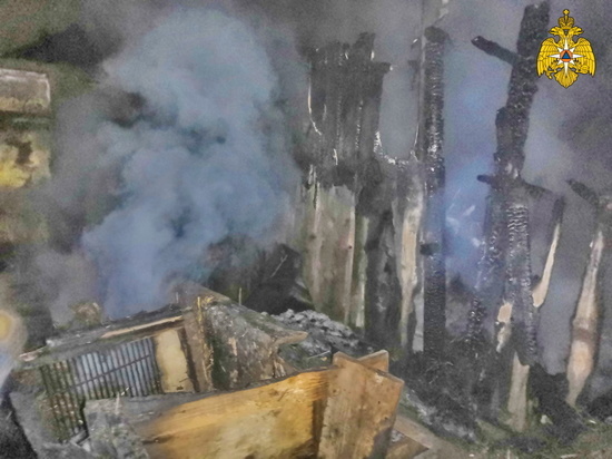 38 птиц заживо сгорели в вечернем пожаре в Печерске Смоленской области
