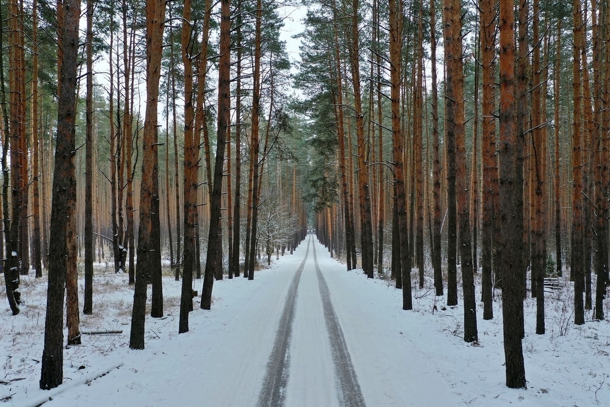 Солотчинский парк