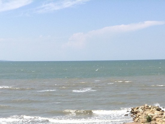 Жительница смоленской деревни забронировала апартаменты в Сочи у мошенников