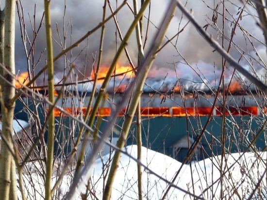 Пожар на Суоярвском лесозаводе тушили пожарным поездом