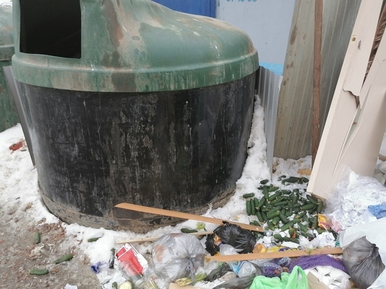 В Оренбурге около мусорки кто-то оставил несколько килограммов огурцов