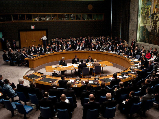 Россия единственная отправила на встречу с Байденом в Совбезе зампостпреда