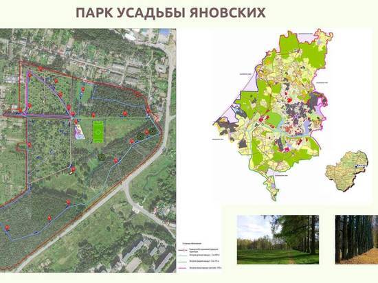 В Комсомольской роще и усадьбе Яновских Калуги обустроят экотропы