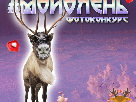 Жители и гости Ямала получат денежные призы за лучшее фото с оленем