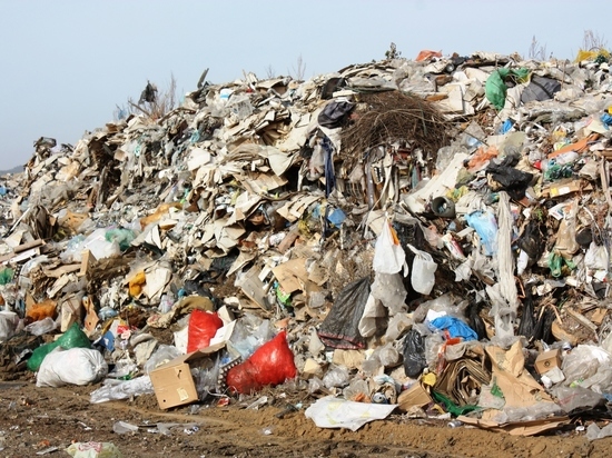 Российские чиновники проанализируют эффективность мусоросжигания