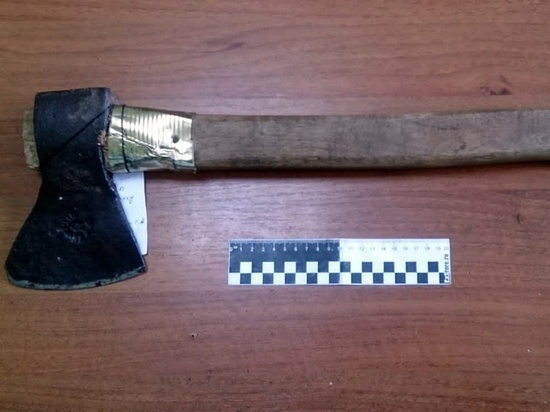 Застолье в Гагаринском районе закончилось размахиванием топором и уголовным делом