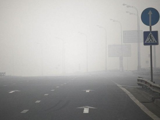 Жителей донского региона предупредили о тумане