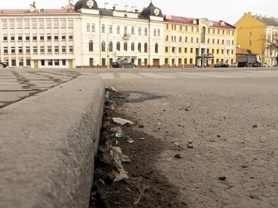 Псковский губернатор оценил уборку города