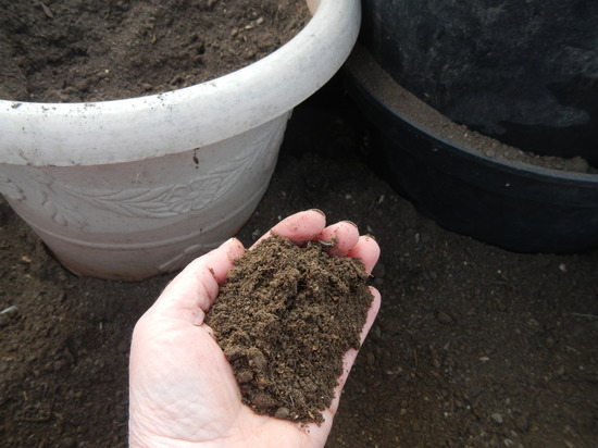 Агроном разбирает, какая почвосмесь лучше всего подходит для рассады