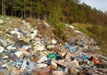 Власти Москвы и области собираются ужесточить наказание за выброс мусора в неположенных местах