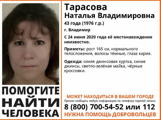 Во Владимире с лета ищут пропавшую 43-летнюю женщину