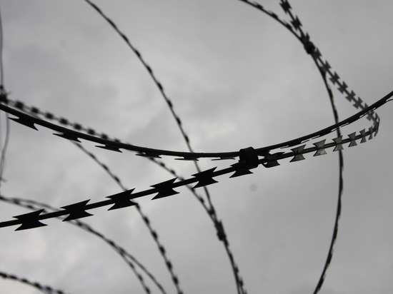 Следователи проверяют причастность арестованных к другим преступлениям