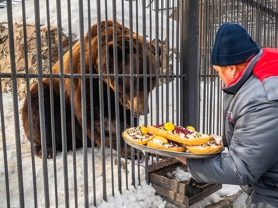 Красноярский зоопарк отметил День пробуждения медведей
