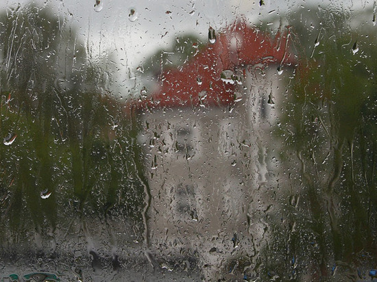 В Ростовской области ожидается дождливая неделя