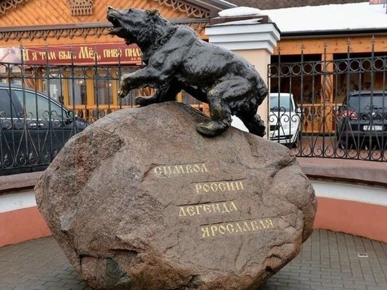 В Ярославле готовятся отметить новый праздник «День медведя»