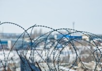эротические новости