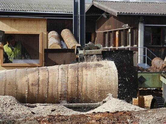 В Смоленской области работника пилорамы убило деревянной щепой