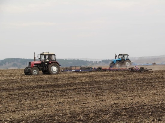 Больше ста миллионов рублей получат кузбасские аграрии на проведение полевых работ