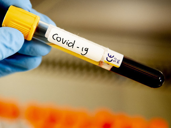 В Донском регионе выявили еще 239 случаев заражения коронавирусом