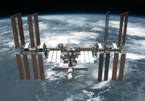 Игрушечную уточку, у которой на Земле останется брат-близнец, возьмут с собой в космический полет члены экипажа МКС-65
