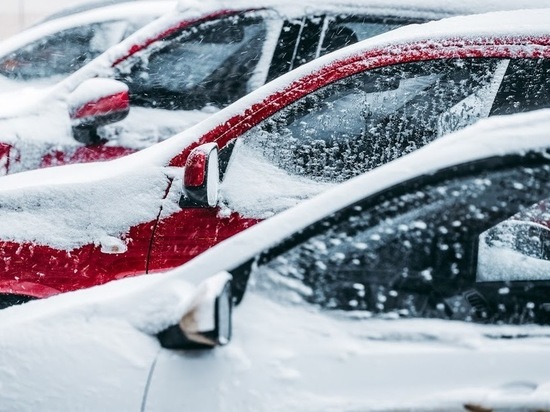 Жителей Волгоградской области предупредили о буре и снегопаде
