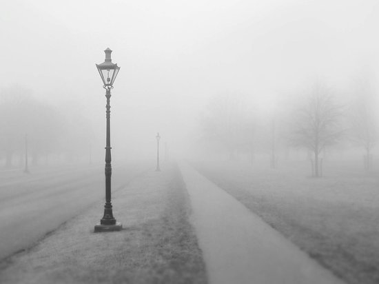 Плотный туман и плохая видимость ожидаются в Удмуртии