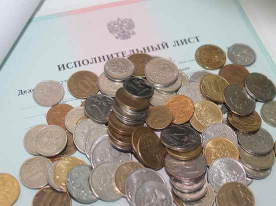 Житель Северодвинска погасил долг почти четырьмя тысячами монет