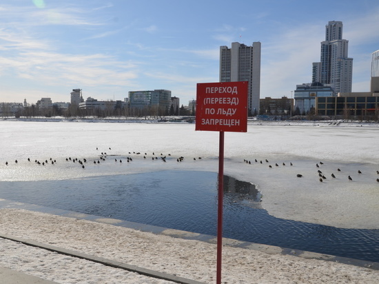 На городском пруду Екатеринбурга люди провалились под лед
