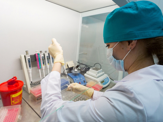 В Хабаровске первым пострадавшим от укуса клеща стал ребенок