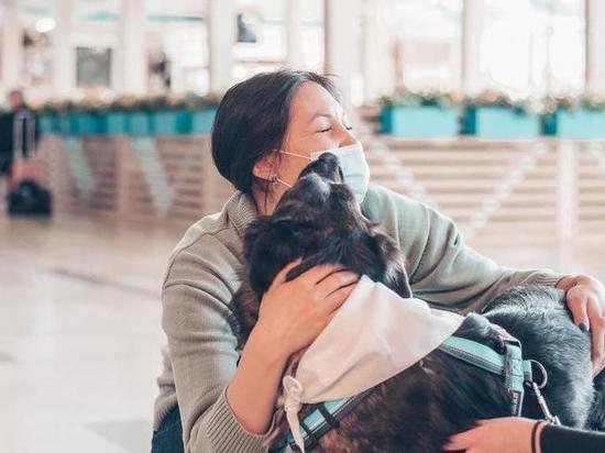 Собаки из приюта «ПовоДог» будут снимать стресс пассажирам в аэропорту Абакана