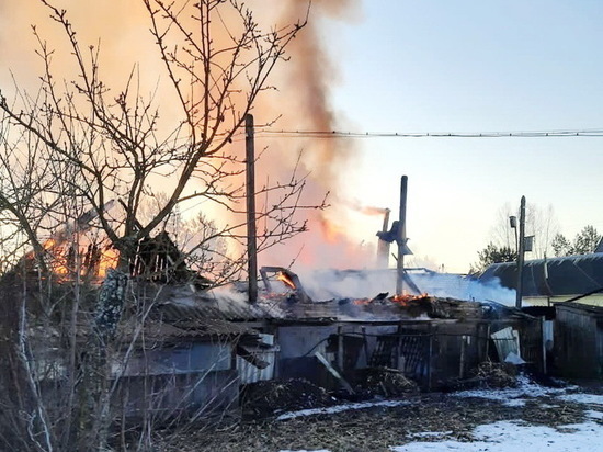 В Велиже сосед спас из горящего дома 74-летнюю женщину