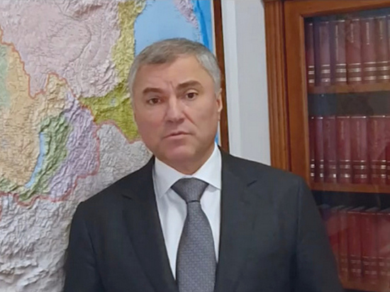 Вячеслав Володин дал поручение пристроить 2 тысячи бездомных собак
