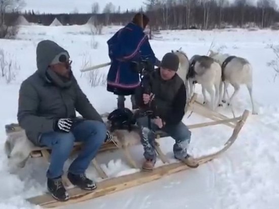 Журналисты канала «Моя планета» на Ямале прокатились на оленях. Видео