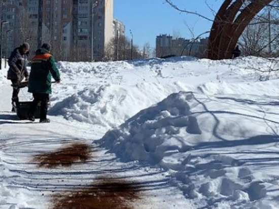 С гололедом в Горкинско-Ометьевском лесу Казани борются кофейным жмыхом