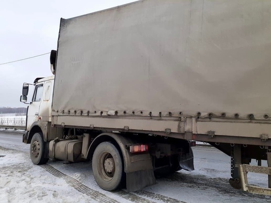 Из-за миллионного долга по штрафам и налогам у рязанца арестовали фуру